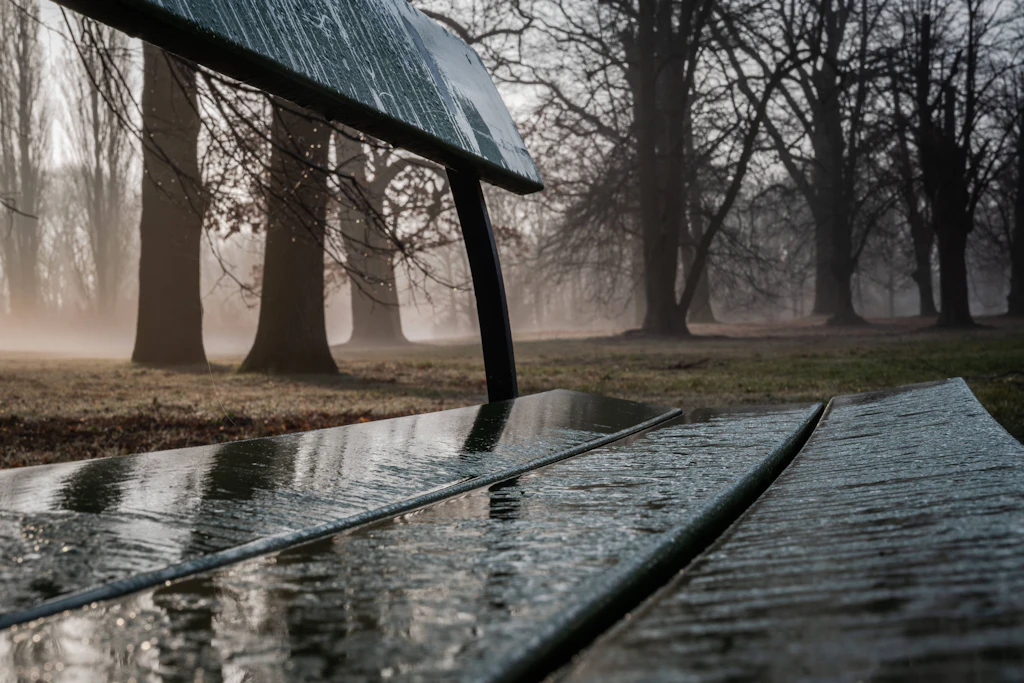 Stich ins Herz: Das Morddrama in der Familie des Gartenkünstlers Peter Joseph Lenné