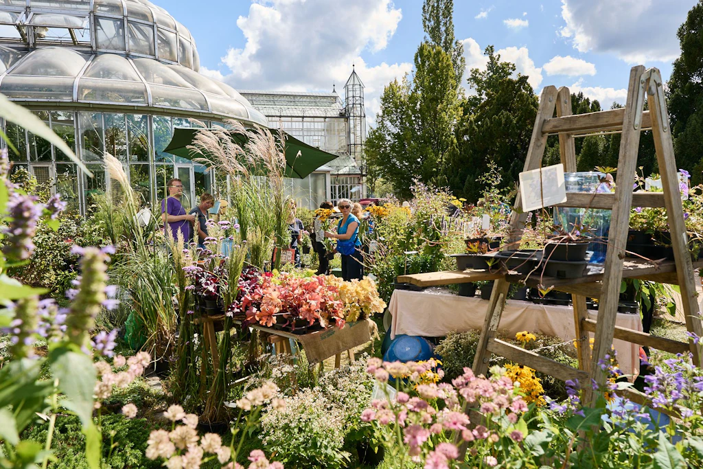 Berlin blüht: auf dem Staudenmarkt im Botanischen Garten nimmt die Gartensaison mit den ersten Septembertagen nochmal volle Fahrt auf.
