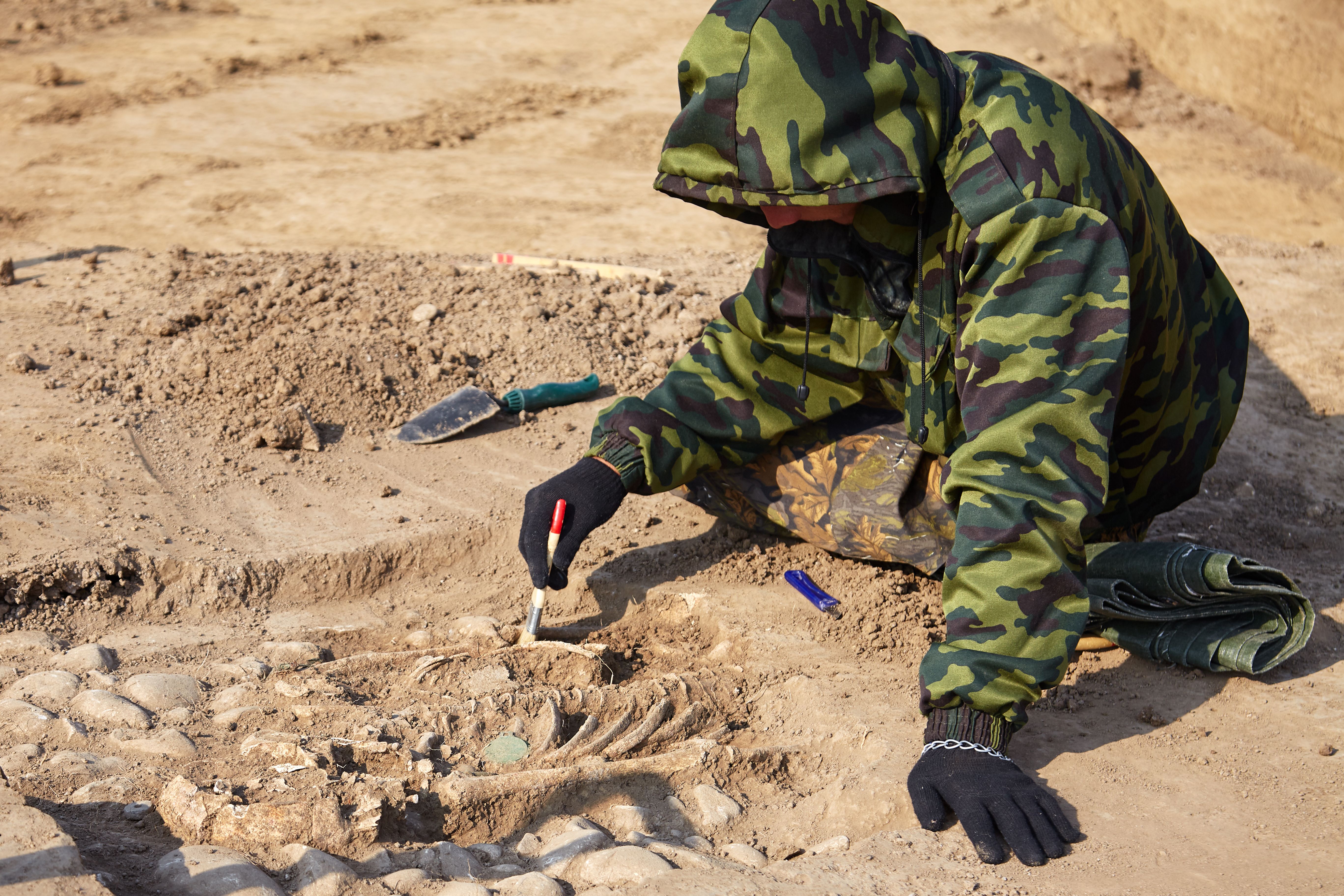 Rund 5000 Jahre alt: Archäologen finden Kette aus Zähnen in Polen