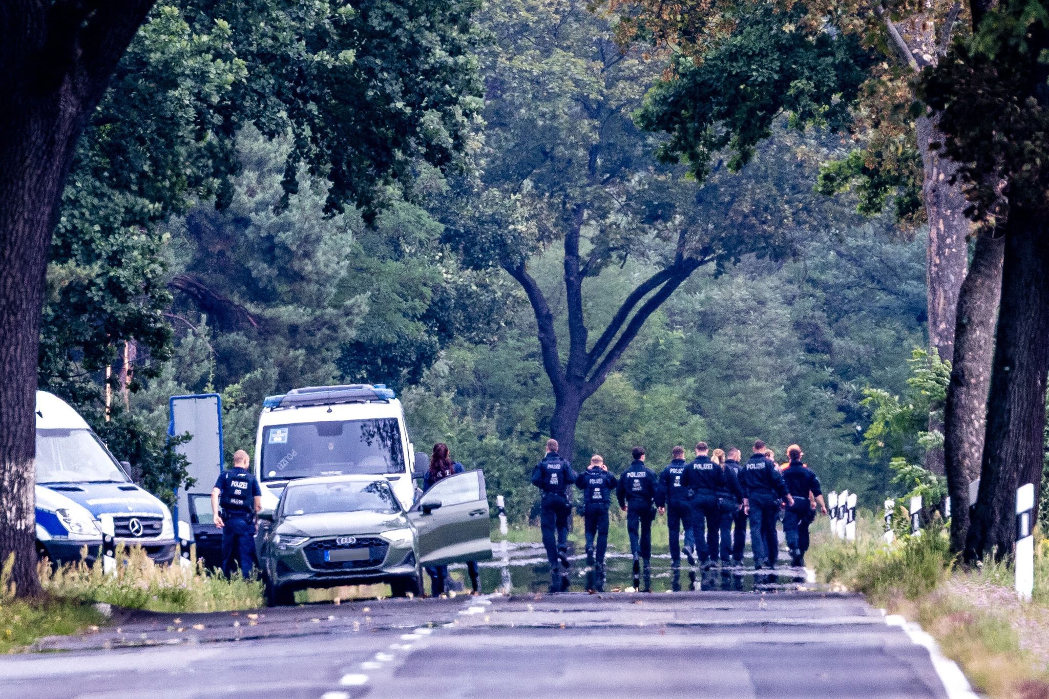 Anschlag auf Stromnetz: Bekennerschreiben zu Attacke in Brandenburg aufgetaucht