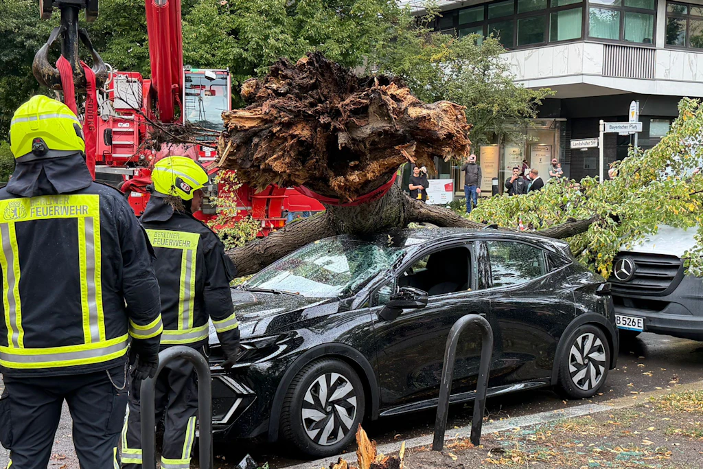 Am Bayrischen Platz stürzte ein Baum auf geparkte Autos.