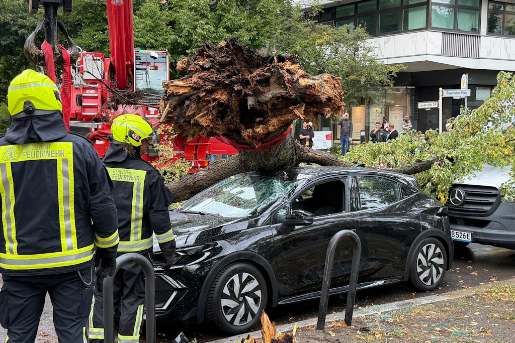 Am Bayrischen Platz stürzte ein Baum auf ein geparktes Auto-