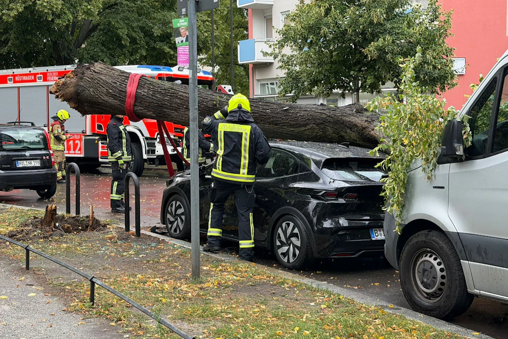 Die Einsatzkräfte mussten den Baum mit einem Spezialkran beseitigen. 