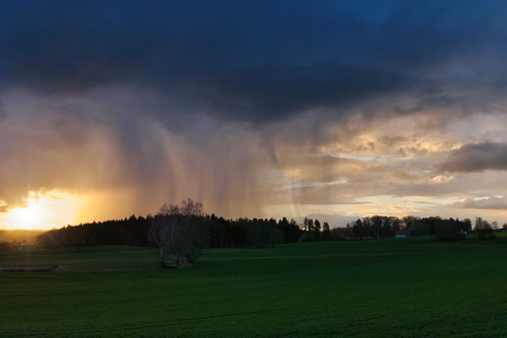 Regenschleier unter einer Schauerwolke: Von Ostfriesland bis Mecklenburg erwartet der DWD am Freitag bis zu 50 Liter pro Quadratmeter in sechs Stunden. (Symbolbild)