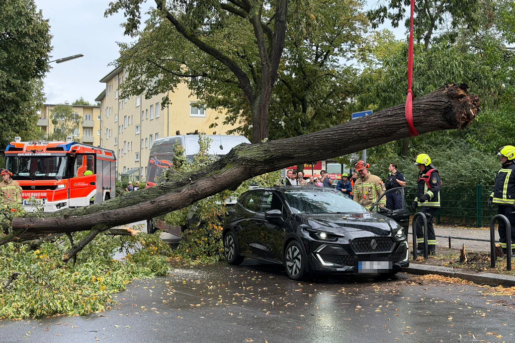 Die Einsatzkräfte der Feuerwehr mussten den Baum von dem Auto heben. 