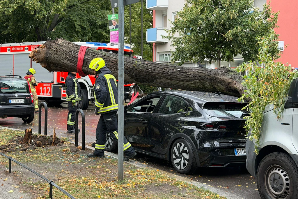 Am Freitag stürzte im Sturm am Bayrischen Platz in Berlin ein Baum auf ein auto. Nur einer von vielen Einsätzen: Die Feuerwehr rief den Ausnahmezustand Wetter aus.