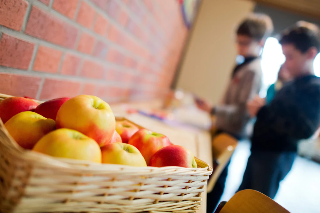 ARCHIV - Äpfel liegen am 13.01.2014 in einer Grundschule in der Region Hannover (Niedersachsen) in einem Korb. Mehr als 100 000 Schüler in Niedersachsen bekommen vom neuen Schuljahr an dreimal die Woche kostenlos Obst und Gemüse. Foto: Julian Stratenschulte/dpa (zu lni "Freies Obst und Gemüse für mehr als 100 000 Schüler" vom 11.08.2014) +++ dpa-Bildfunk +++