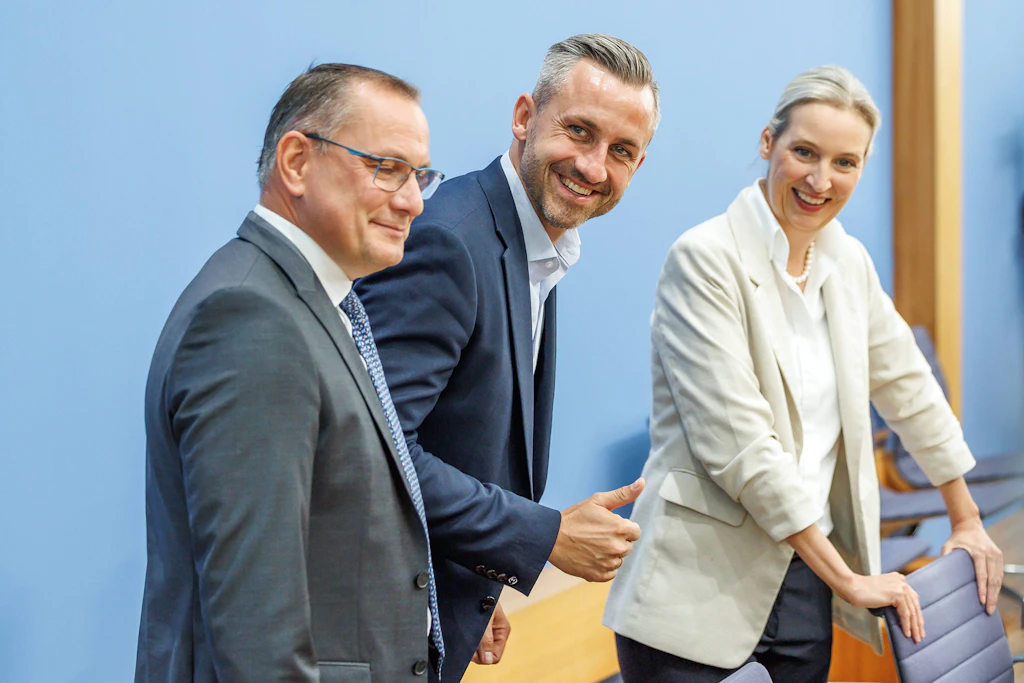 Trotz Warnungen von Ökonomen trauen viele Wähler der AfD die größte Wirtschaftskompetenz zu. Was die Wirtschaftsweise Veronika Grimm und weitere Ökonomen dazu sagen.