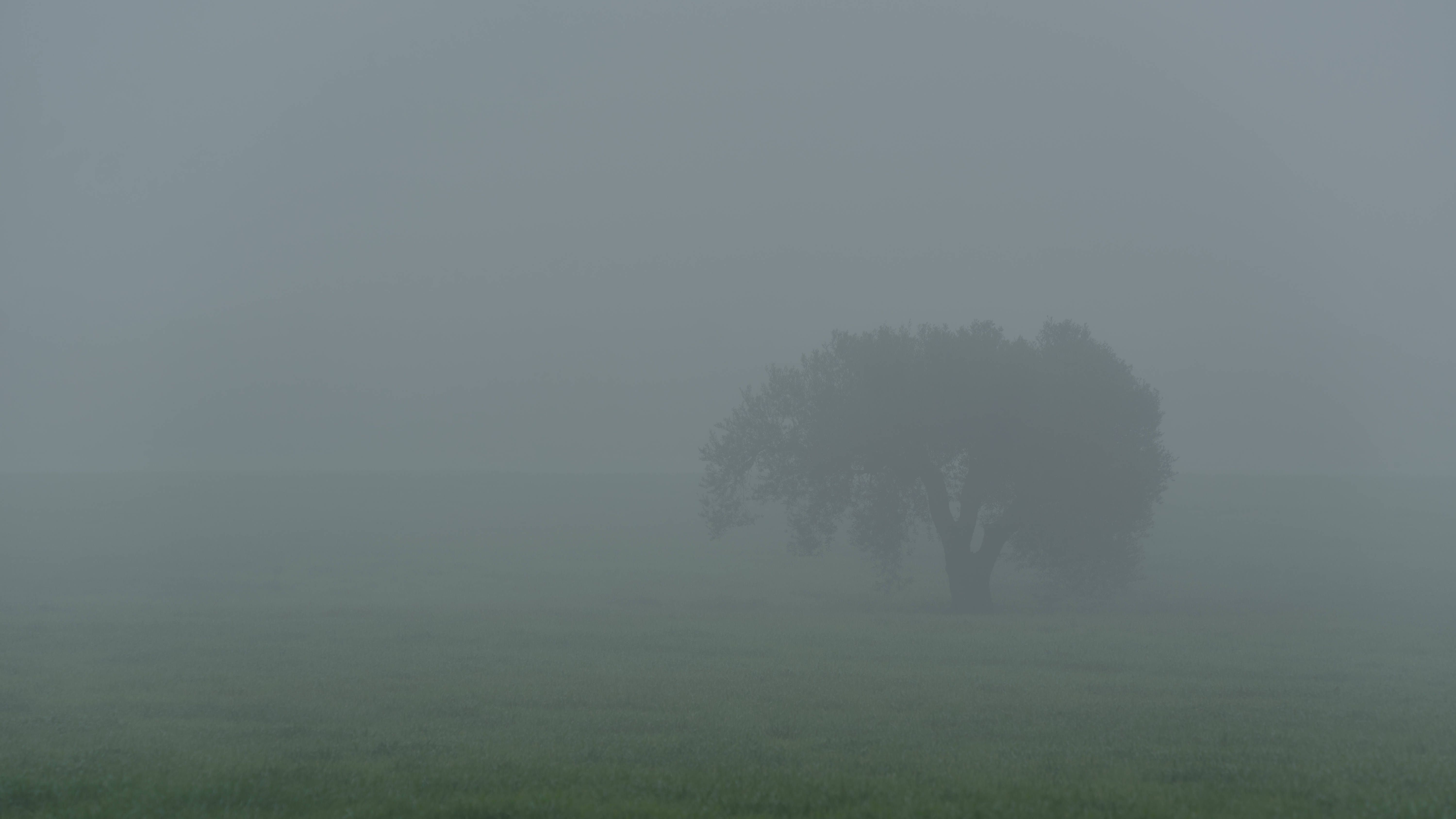 Bodenfrost und Nebel: Heute Nacht wird es zum ersten Mal kalt