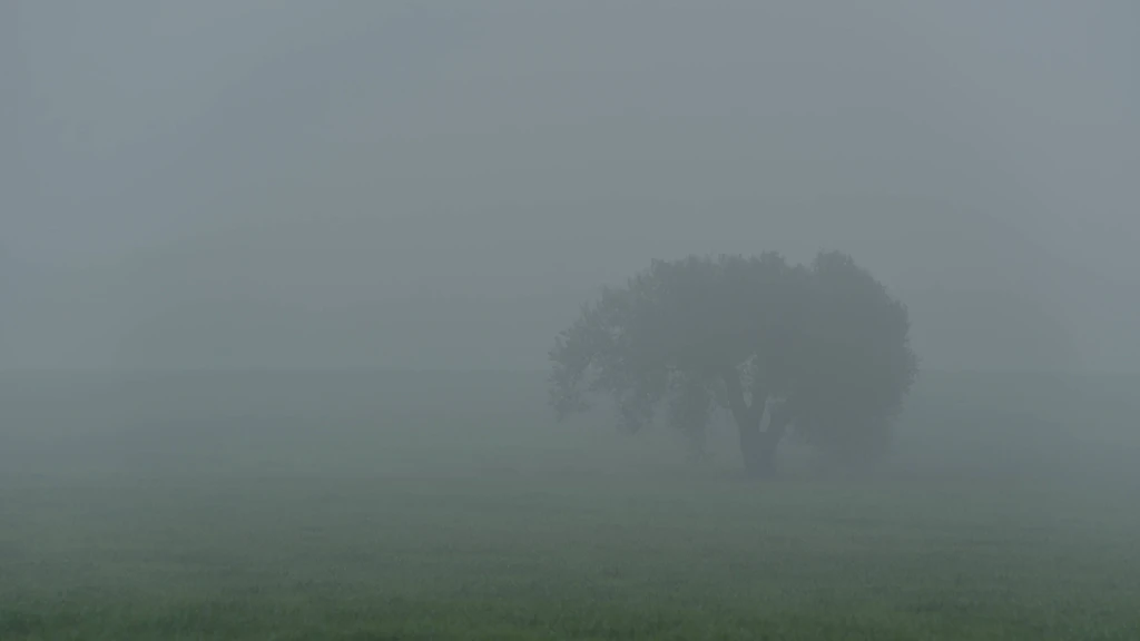 Bodenfrost und Nebel: Heute Nacht wird es zum ersten Mal kalt