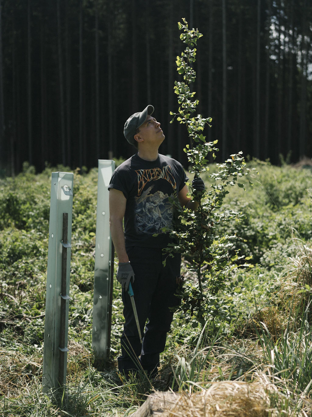Est. Behind the Scenes: Den Komponisten Martin Kohlstedt traf unser Fotograf im Thüringer Wald, wo der Musiker im Jahr 2019 mehrere Hektar Land erworben hat, um sie nachhaltig zu bepflanzen. Unsere Autorin Meike Peters kochte mit ihm in ihrer Küche in Berlin Kohlrouladen.