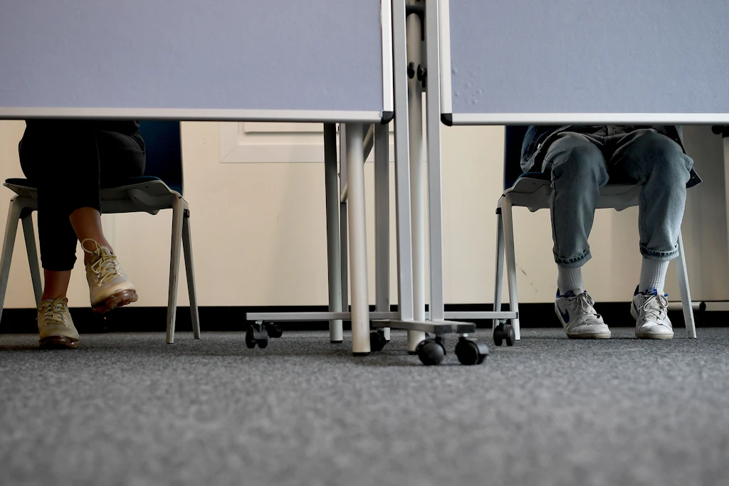 AfD und Linke liegen bei Jugendlichen in Mecklenburg-Vorpommern vorn.