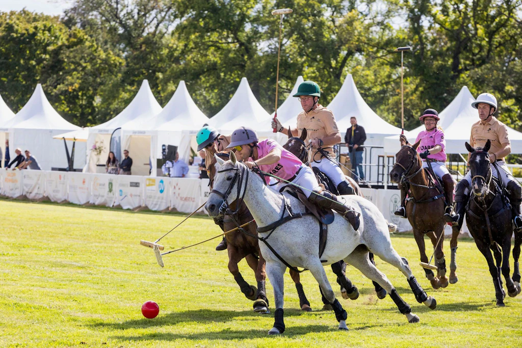 Acht Teams mit 96 Pferden: Zum zweiten Mal richtet Dresden ein Polo-Turnier aus.
