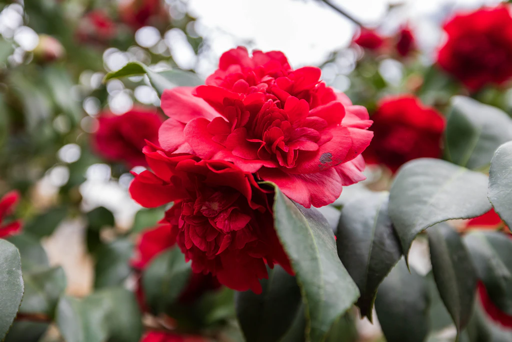 Oberschüler erhalten Sächsischen Denkmalschutzpreis