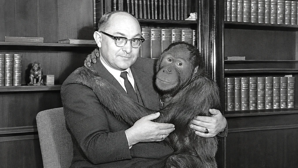 Mangelware in der DDR: Nur Affen im Tierpark Berlin hatten Bananen – notfalls ging man in den Westen