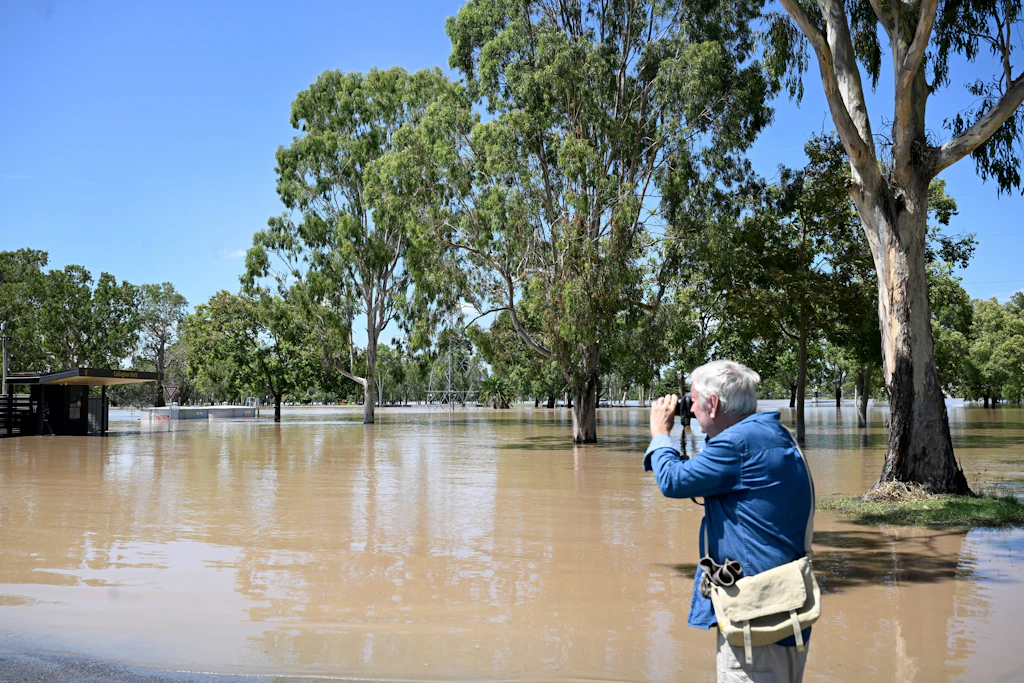 Hochwasser des Fitzroy River überflutet im Januar 2026 Straßen und Zufahrten in Rockhampton.