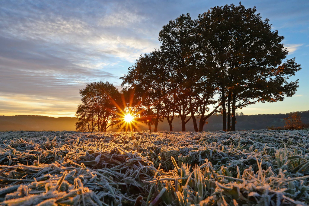 Raureif auf einer Wiese bei Sonnenaufgang: In der Nacht zum Mittwoch kann es in Teilen Süddeutschlands am Boden wieder frieren. (Symbolbild)