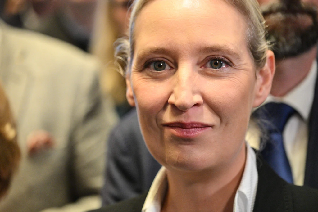 AfD-Co-Vorsitzende Alice Weidel: Am Wahlabend warf sie der Linken im ZDF vor, Reiche erschießen zu wollen.