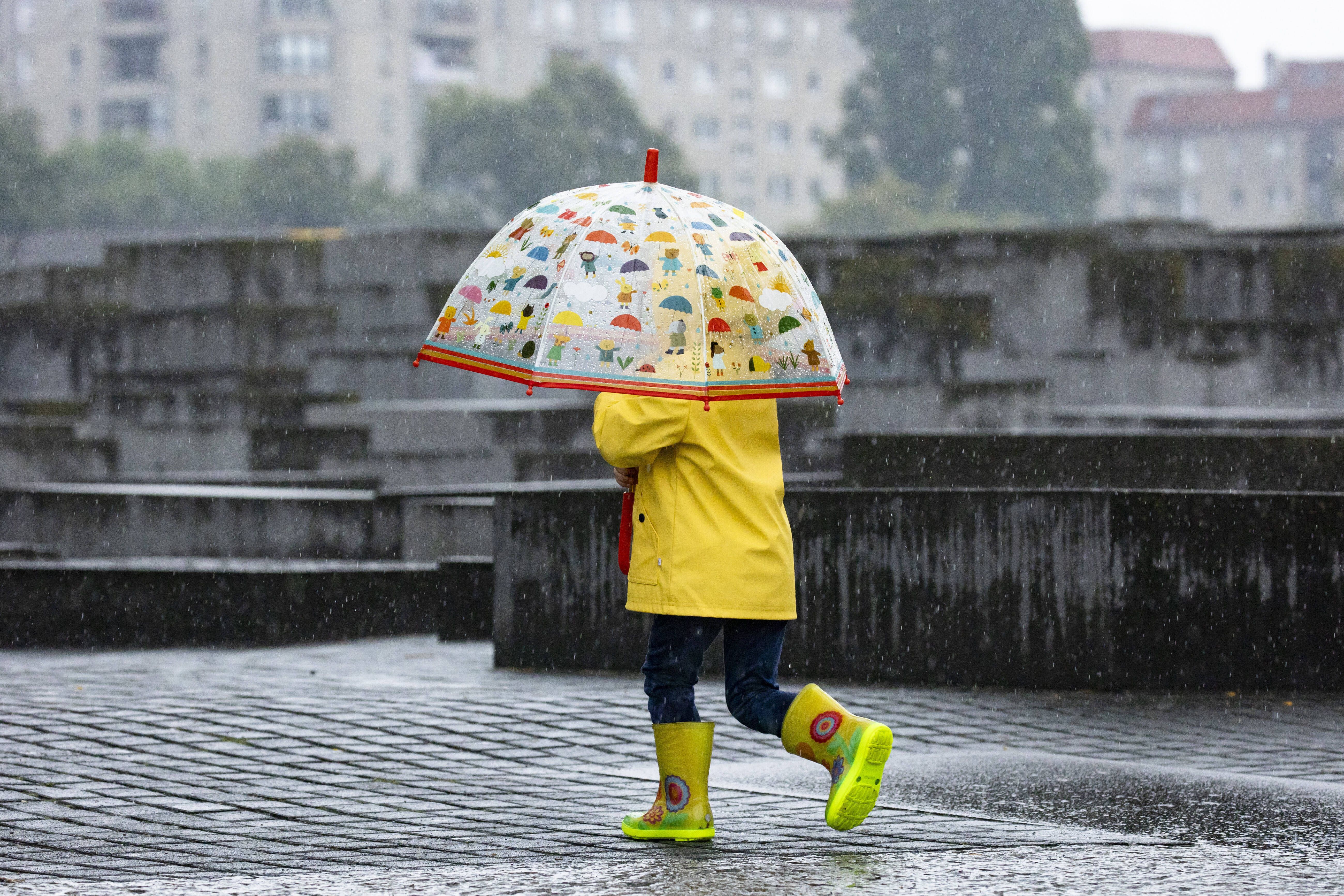 Erst mild, dann Herbst-Wucht: Regen und Sturm ziehen auf