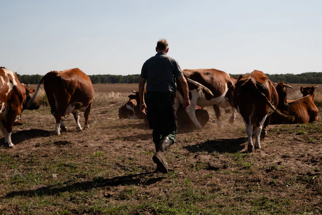 Reinhard Jung ist Landwirt und Lobbyist: Er kämpft für die Interessen der Bauern und gegen&nbsp; ausufernde Bürokratie.