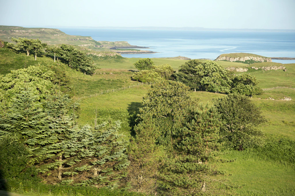 Mehr Schafe als Nachbarn: Küstenlandschaft auf der Isle of Mull. (Symbolbild)