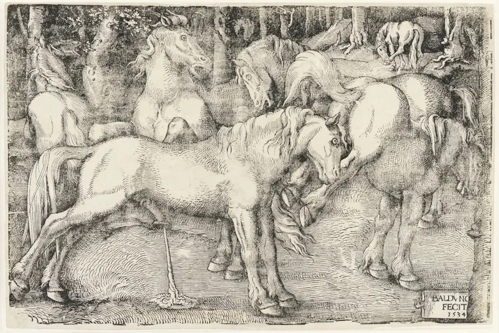 Zu verschenken: Hans Baldung Griens „Die sechs Pferde“, ein&nbsp; graphischer Schatz aus der Renaissance