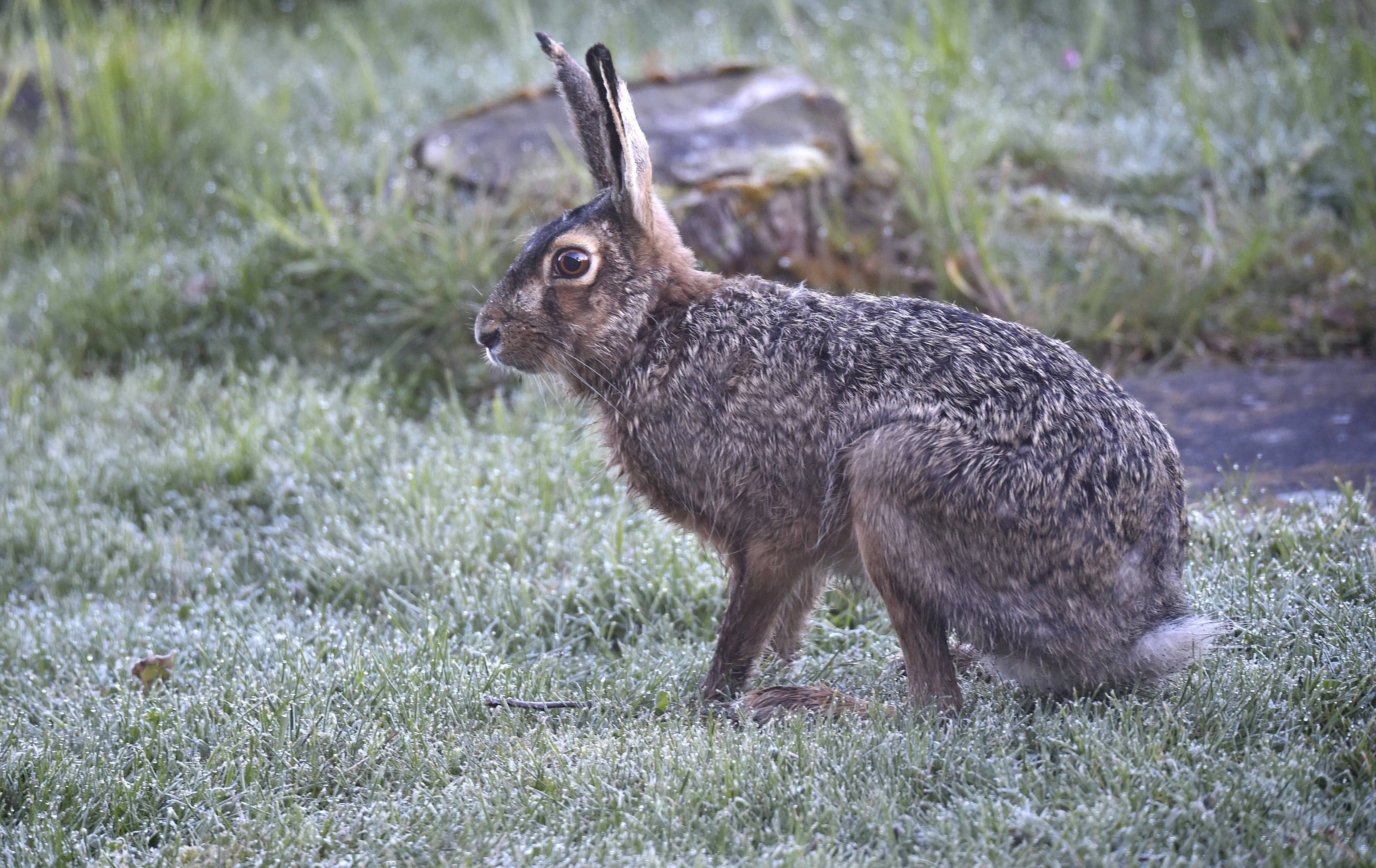 Frost auf die Minute: Um 2.06 Uhr beginnt der Herbst – und im Süden friert es