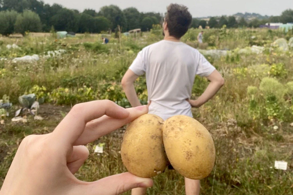 Hobbygärtner haben ihre Lieblingsfotos bei der Meine Ernte GmbH eingereicht. Das hier ist Platz 3.
