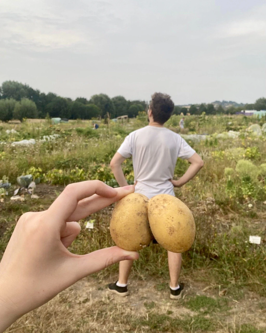 Von XXL-Gurken bis Kartoffel-Klamauk: Das sind Berlins schönste Ernte-Fotos