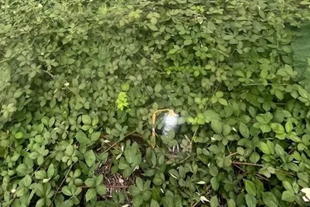 Eine sogenannte Kugelbombe liegt wenige Meter von einem Hochspannungsmast entfernt im Gras.