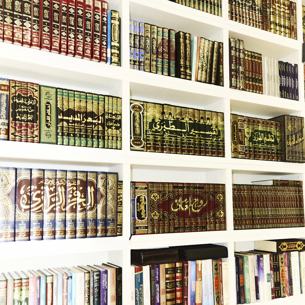 Imam Abdul Adhim Kamouss, Stiftung Islam in Deutschland