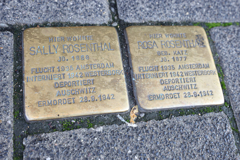 Sieben Stolpersteine kommen vor das Deutsche Hygiene-Museum Dresden