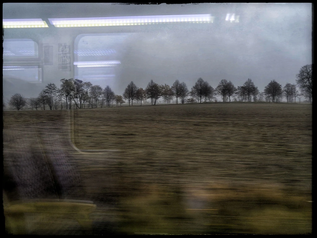 Blick ins Braungraue