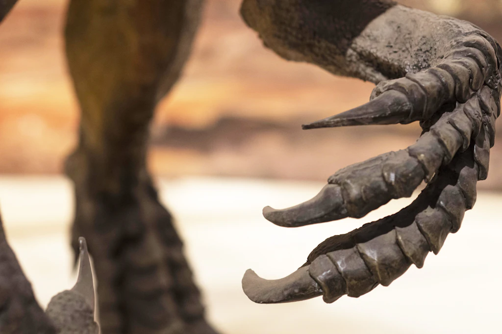 Der Tyrannosaurus rex bewegte sich auf drei Krallen.