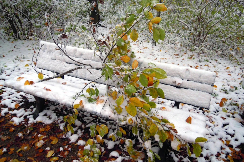 Schnee auf buntem Herbstlaub: Nach einem plötzlichen Wintereinbruch lag Ende Oktober 2012 ein Ast auf einer verschneiten Bank im Münchner Schlosspark Nymphenburg. (Archivbild)