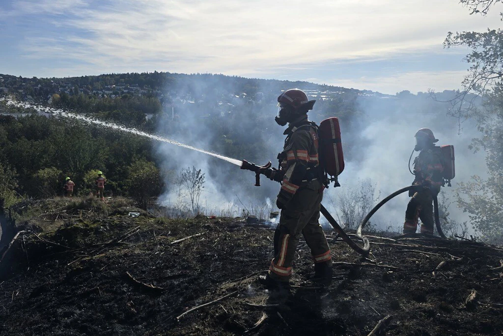 Die Feuerwehren der Vogtlandregion mussten am Dienstag zu einem erneuten größeren Waldbrand ausrücken, diesmal im Osten der Stadt. Nach vier Stunden war das Feuer erst einmal unter Kontrolle.