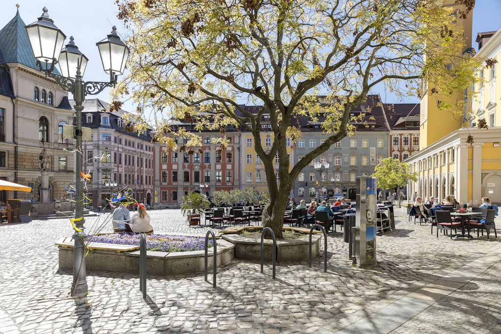 Herbstferien in der Oberlausitz: Zauberschule, Apfelfest und Halloween-Züge