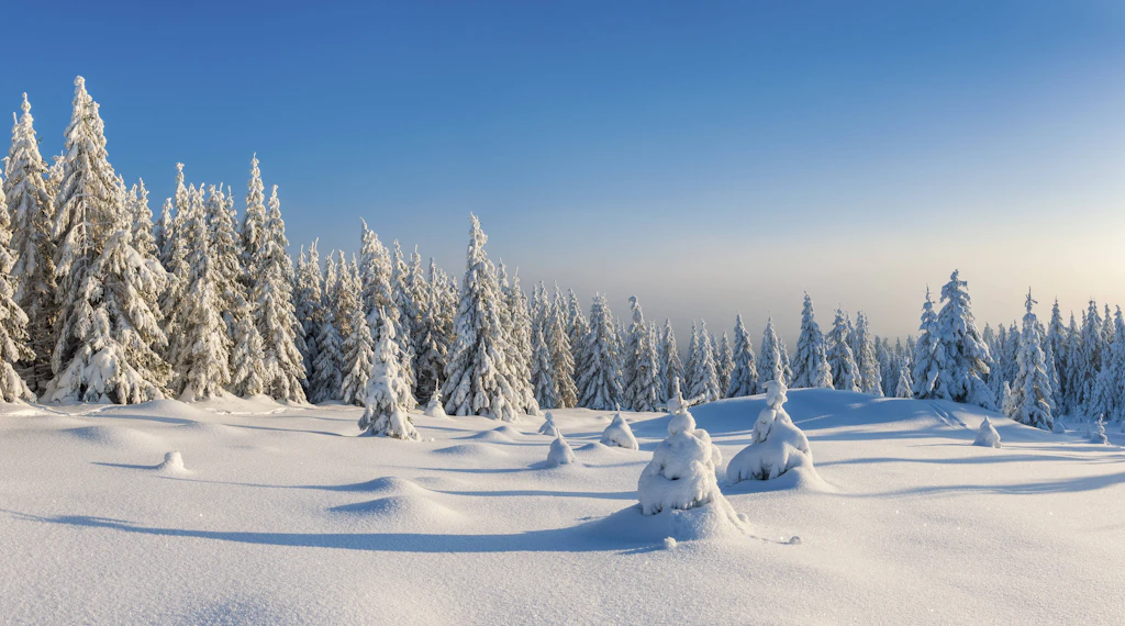 25 Grad im Oktober, dann der Eiswinter? Diese Bauernregel jagt Deutschland gerade Angst ein