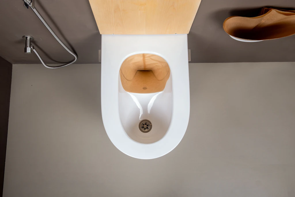 Sieht auf den ersten Blick aus wie eine normale Toilette, funktioniert aber anders: die Trockentoilette der brandenburgischen Firma Finizio