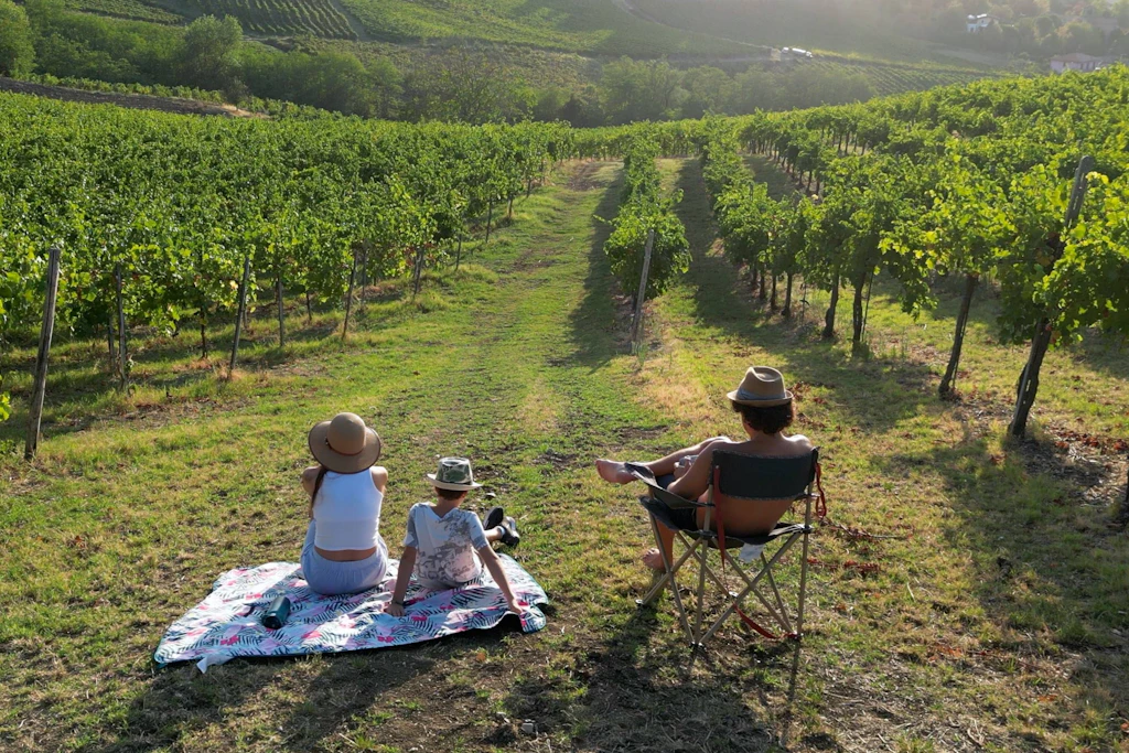 Gerade für Weinbauern ist das Wetter an den nächsten Oktobertagen wichtig. 