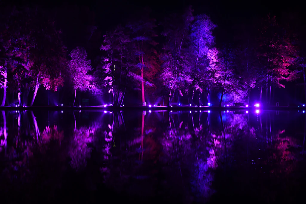 Party im Naturschutzgebiet: Die Polizei beendete am Zwenkauer See eine nicht genehmigte Feier mit DJ-Technik und Lagerfeuer (Symbolbild).