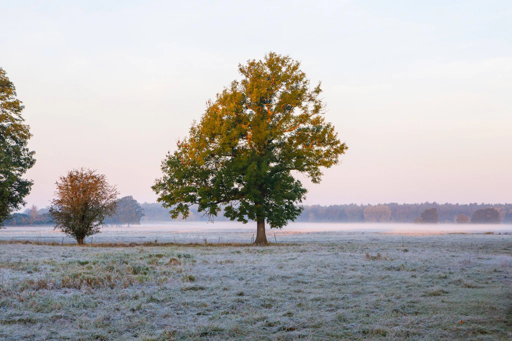 Eisiger Winter droht? Bei dieser Bauernregel zählt jetzt jeder Regentag
