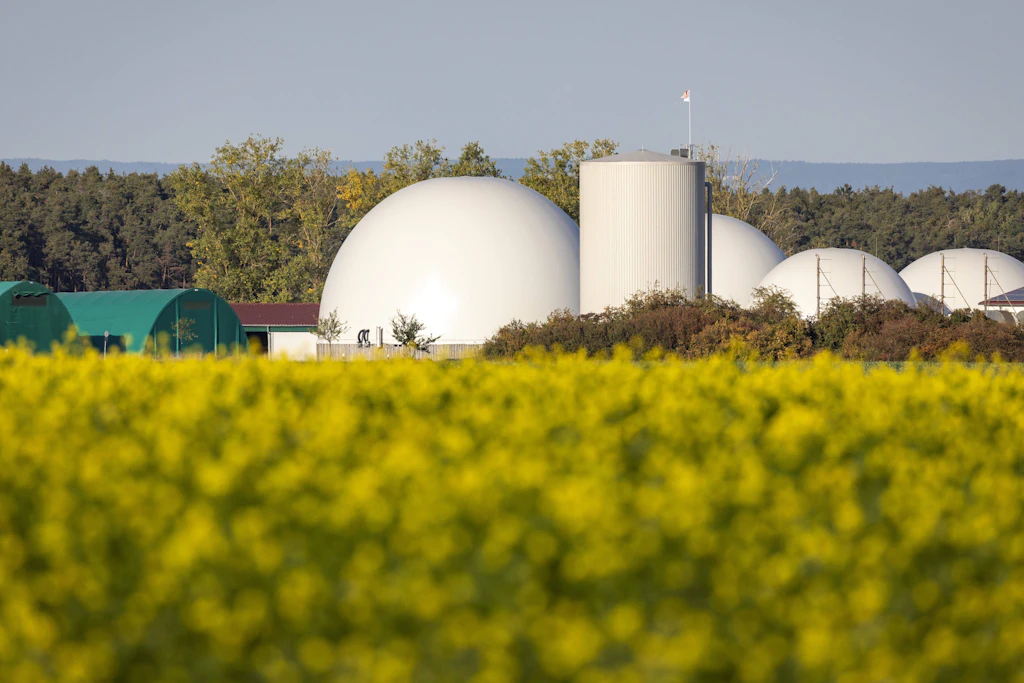 Biogasanlage Grevesmühlen: Laut Amt keine Umweltverträglichkeitsprüfung nötig