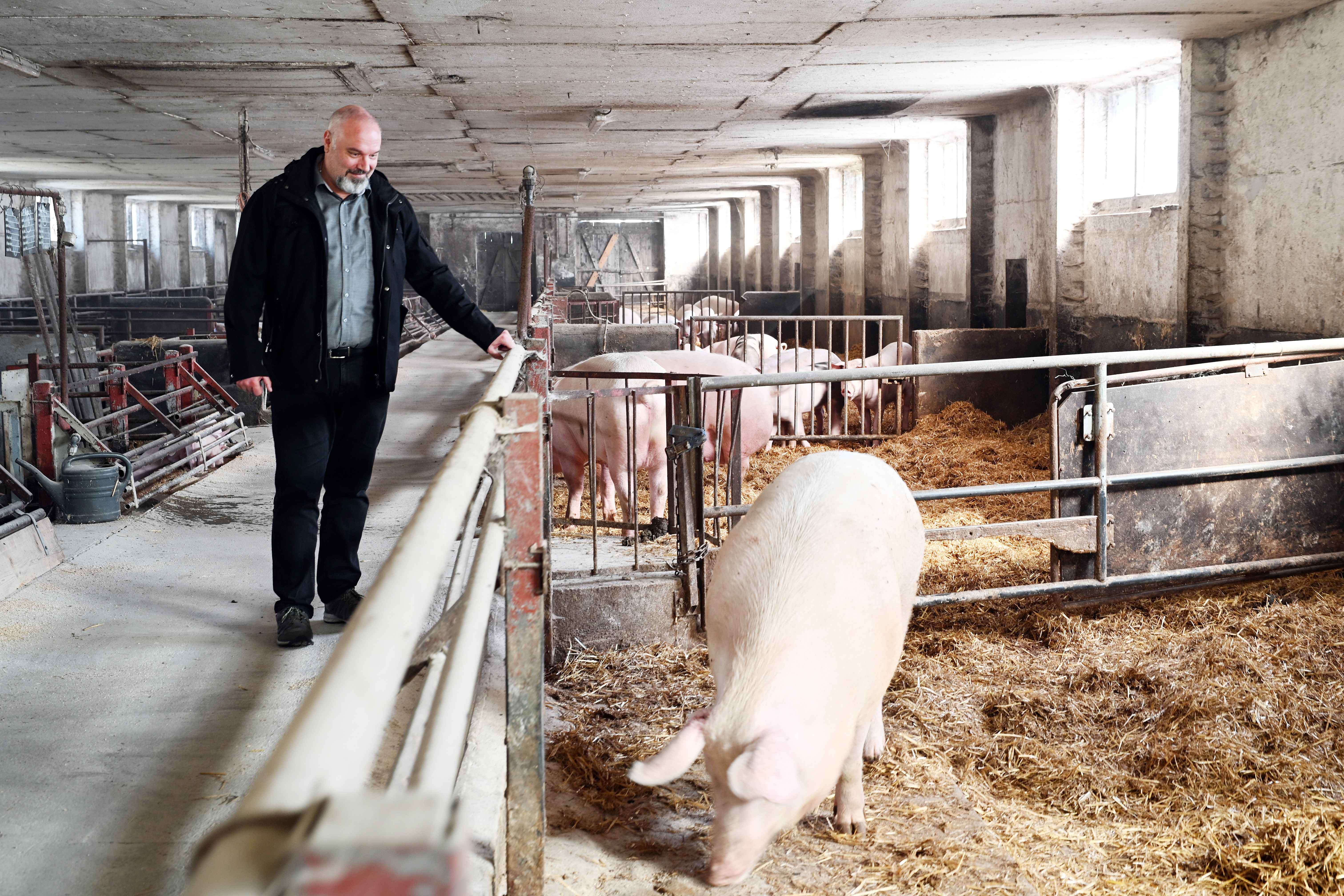 Ein Bauernpräsident spricht Klartext: „Wir stehen aktuell vor der größten wirtschaftlichen Krise, die wir je gesehen haben“