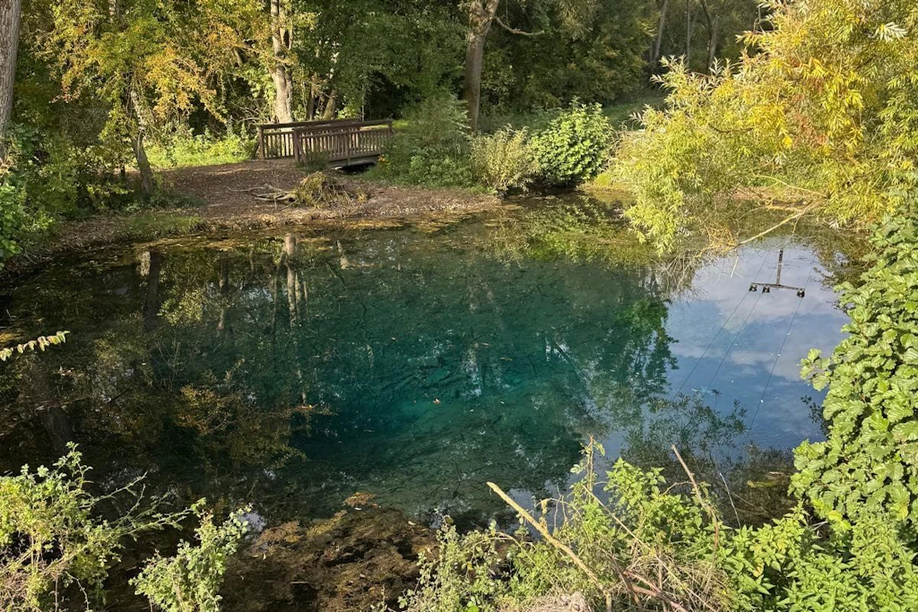 „Grundloses Loch“ in Nordhausen-Salza wird von Algen und Laub befreit