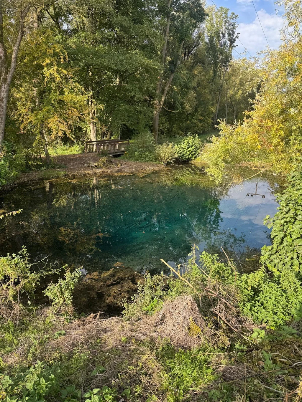 „Grundloses Loch“ in Nordhausen-Salza wird von Algen und Laub befreit