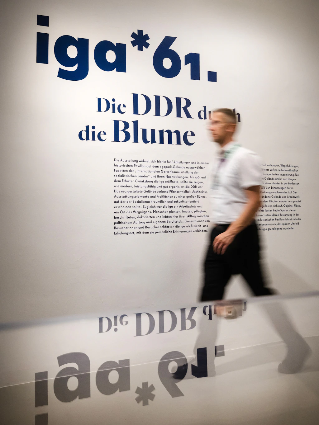 Die Ausstellung widmet sich in fünf Abteilungen und in einem historischen Pavillon ausgewählten Facetten der „Internationalen Gartenbauausstellung der sozialistischen Länder“ und ihren Nachwirkungen.