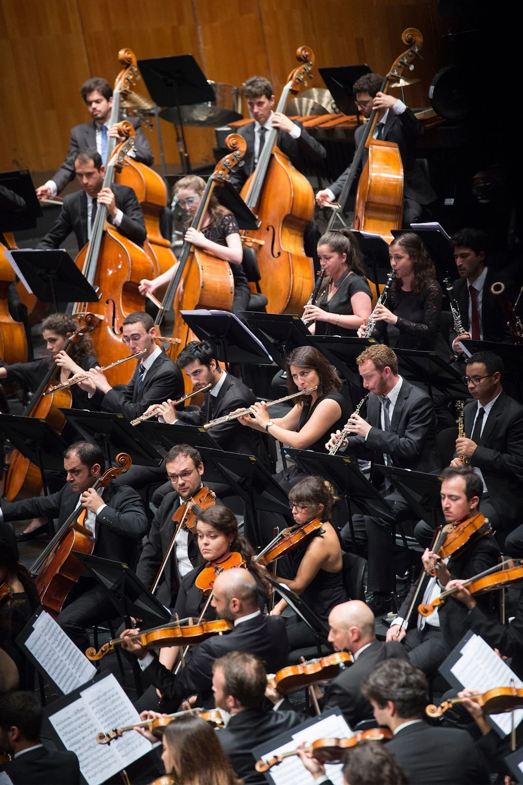Das West-Eastern Divan Orchestra 