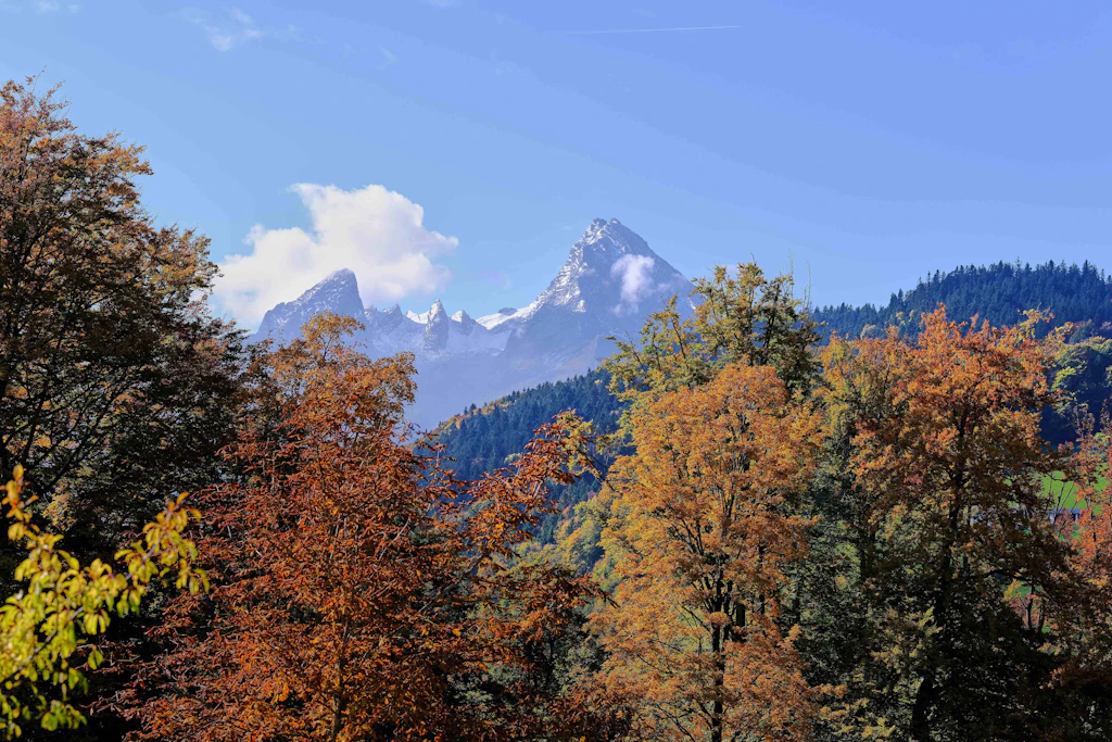 Frischer Schnee am Watzmann über leuchtendem Herbstwald: Im Berchtesgadener Land sinkt die Schneefallgrenze bis zum Wochenende auf rund 1000 Meter. (Symbolbild)