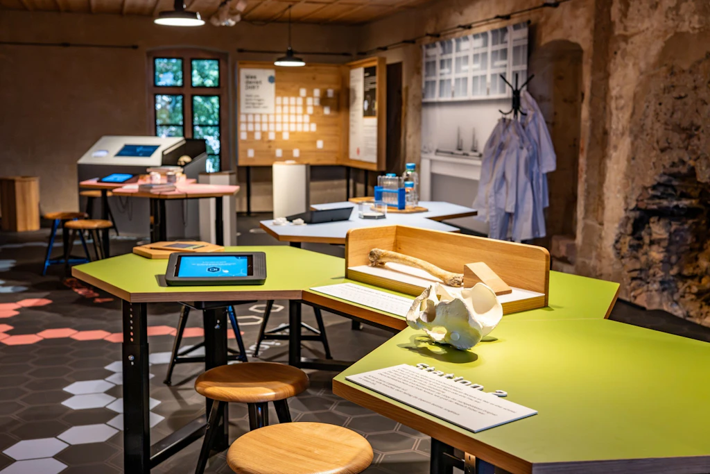 Blick in das neue Anthro Lab auf Burg Mildenstein in Leisnig.